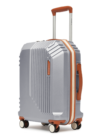 Vector Silver Cabin Trolley