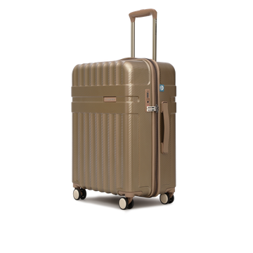 Spector Brown Medium Trolley